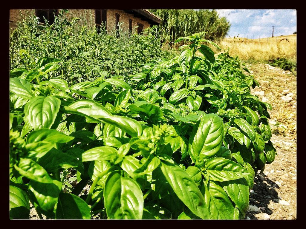 Willa Agriturismo Furfullanu Nurallào Zewnętrze zdjęcie