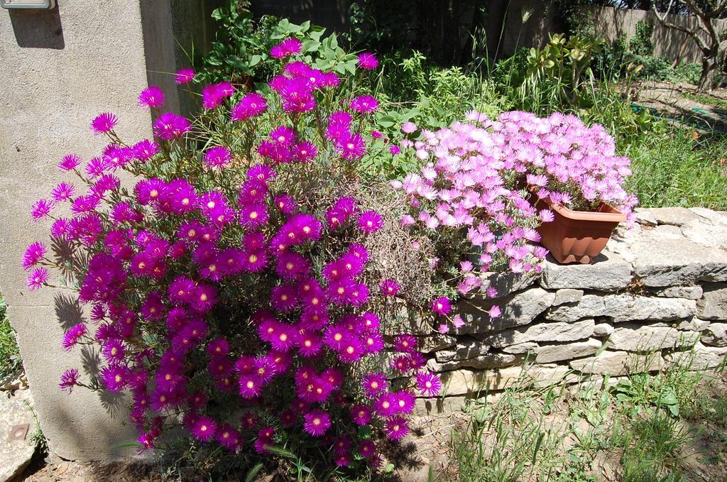 Willa Agriturismo Furfullanu Nurallào Zewnętrze zdjęcie